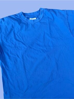 Elwood brand distressed blue tee